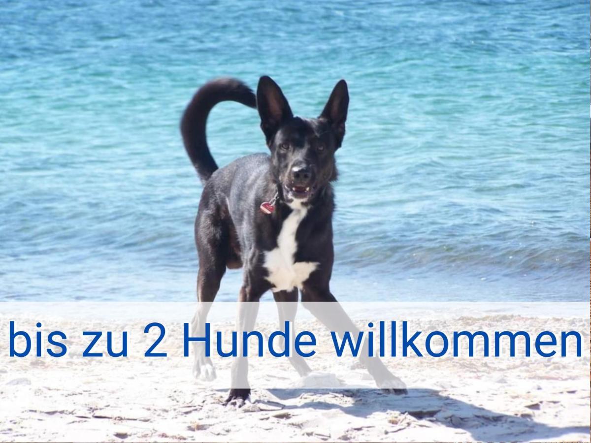 Boeltser Hus Ferienwohnungen Mit Strandkorb Und Kamin 10 Gehminuten Zum Kurtaxefreien Sandstrand Kraksdorf Luaran gambar