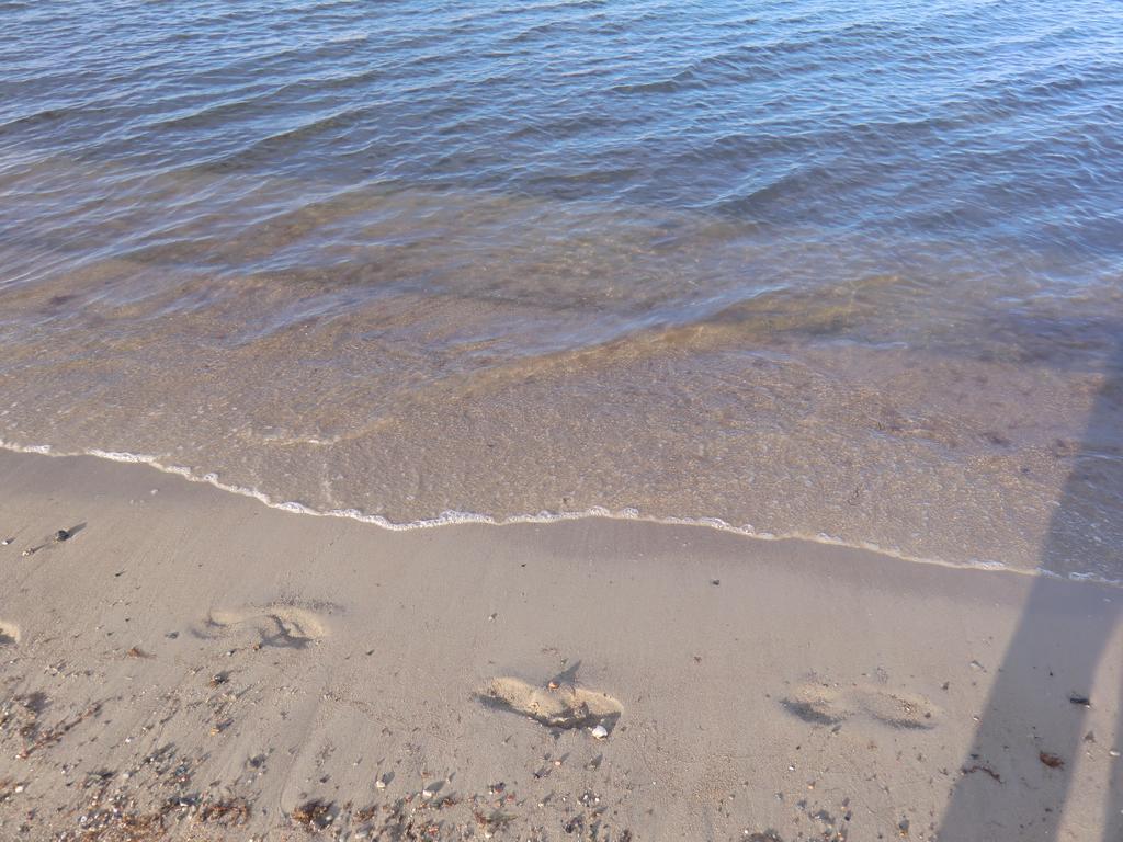 Boeltser Hus Ferienwohnungen Mit Strandkorb Und Kamin 10 Gehminuten Zum Kurtaxefreien Sandstrand Kraksdorf Luaran gambar
